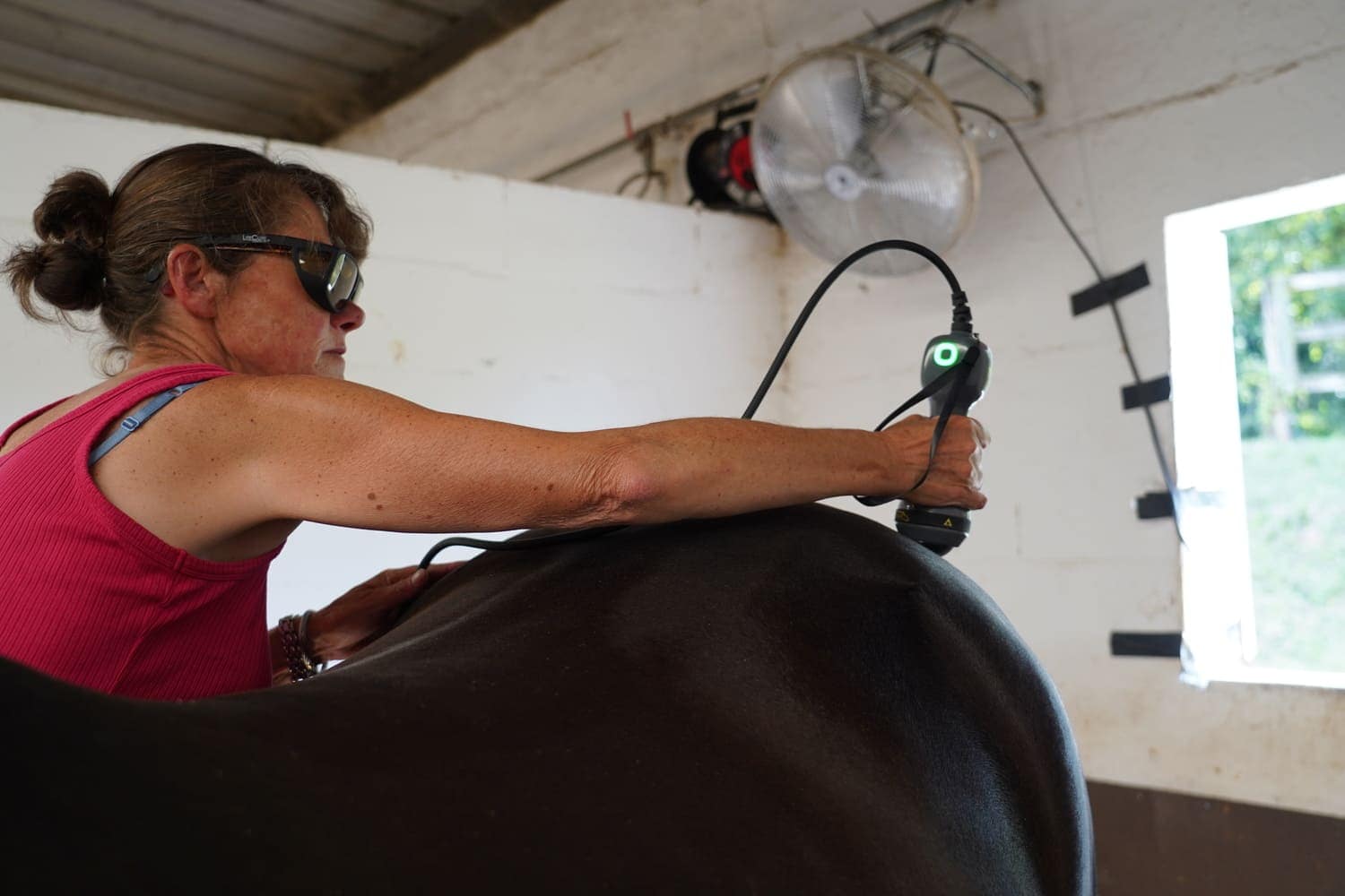 Vétérinaire equin machine